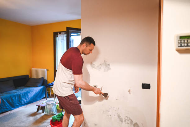 Professional Mold Removal in Tyhee, ID